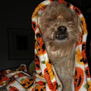 Meet your Posher, Katherine